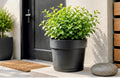 Hidden Flower Pot Storage Safe | Lockable Planter with Secret Compartment